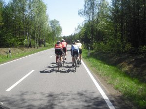 RTF Celle 2011 Manfred 165